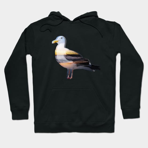 Beach Seagull Hoodie by ThePurplePigeon